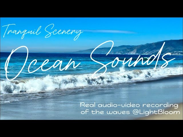 Ocean Wave Sounds🌊Relaxing Beach Time, Soothing White Noise for Meditation, Focus, Deep Sleeping 