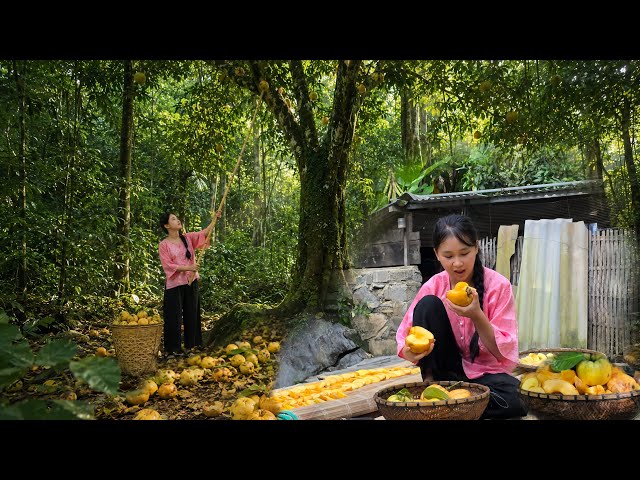 going to pick a rare and delicious fruit in the dangerous jungle