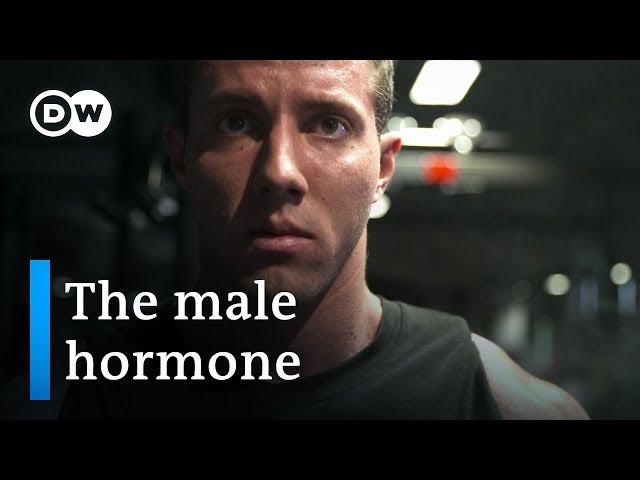 Testosterone — new discoveries about the male hormone | DW Documentary