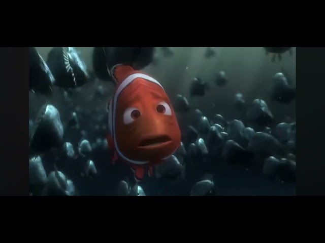 Finding Nemo - Marlin found Nemo scene credit to @Disney & @pixar 