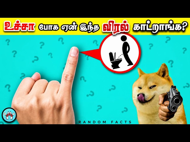 Mind Blowing Facts You Should Know (தமிழ்) | The Magnet Facts