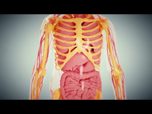 What does Air Pollution PM 2.5 do inside children's body and brain?