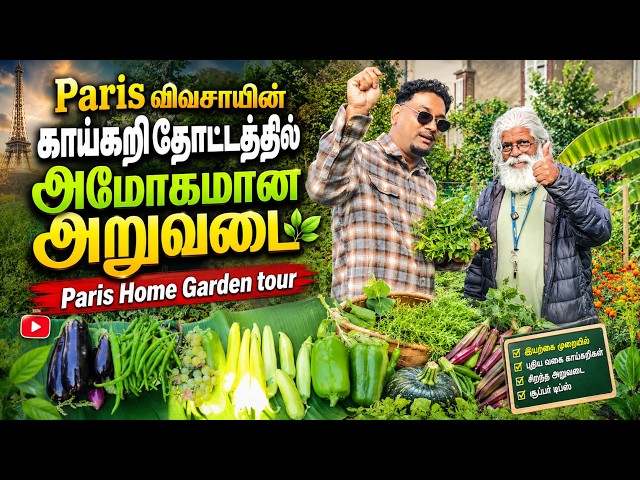 Paris விவசாயின் காய்கறி தோட்டத்தில் அமோகமான அறுவடை 😍| Paris Home Garden tour 🌱🇫🇷🇨🇦