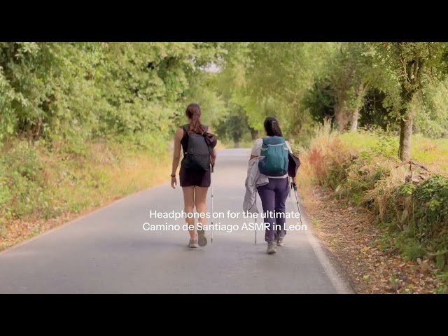 The Camino de Santiago