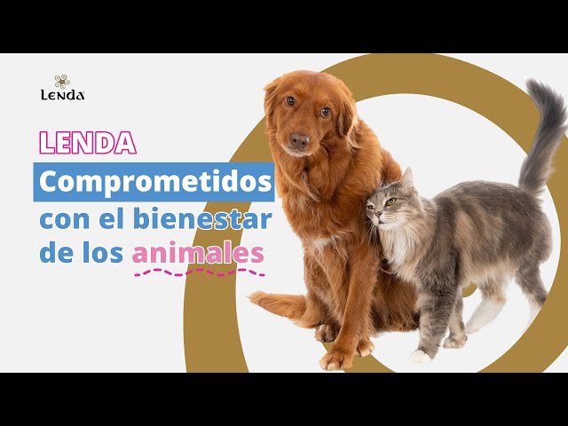 Lenda, comprometida con el bienestar de los animales