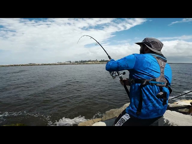 SDOC S01E01 - Blue Fin Toona