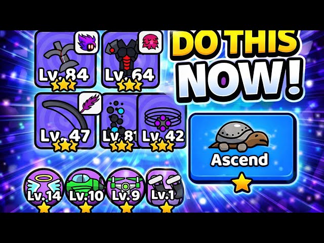 Full breakdown on ASCENSIONS in forge master 
