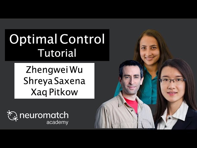 Optimal Control Tutorial 1 Video 4 (2021)