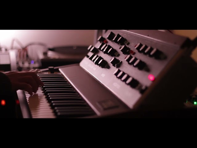 Moog Minimoog Model D | First pass experimental ambient sound design