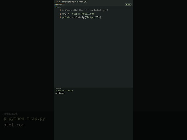 Where Did the "H" in Hotel Go in Python?! 🏨 #python #programming #coding #developer