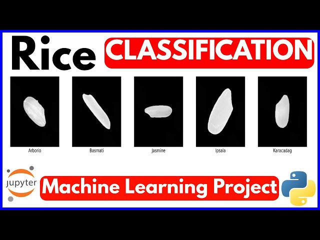 Rice Classification with CNN | Deep Learning Project using Keras & TensorFlow | Hindi