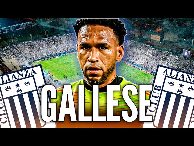 THE BLUE AND WHITE DREAM! GALLESE RETURNS AND MORE REINFORCEMENTS ARE COMING