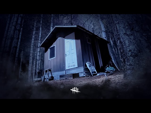 00:00 // STILL LIVE