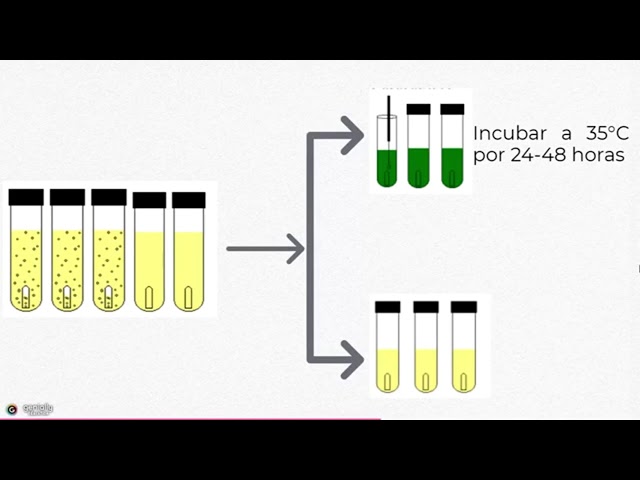 Análisis microbiológico. Número mas probable(NMP)