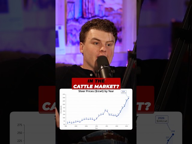 This Run In The Cattle Market Feels Different
