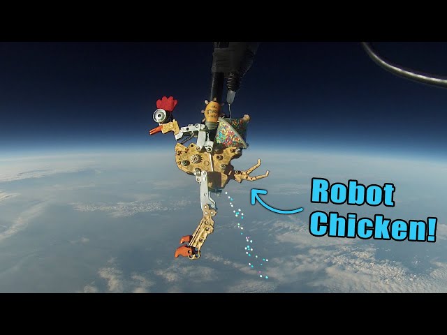 We sent a ROBOT CHICKEN to "SPACE"!