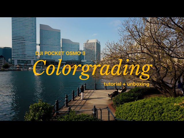 DJI Osmo Pocket 3 Unboxing + How I Color Grade My Footage