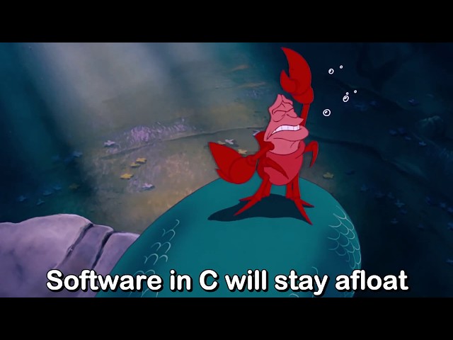 Program in C — The Memory Unsafety Anthem