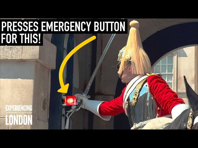 2 KING’S GUARDS PRESS EMERGENCY BUZZER FOR THIS! 🚨 | Horse Guards, Royal guard, Kings Guard, Horse