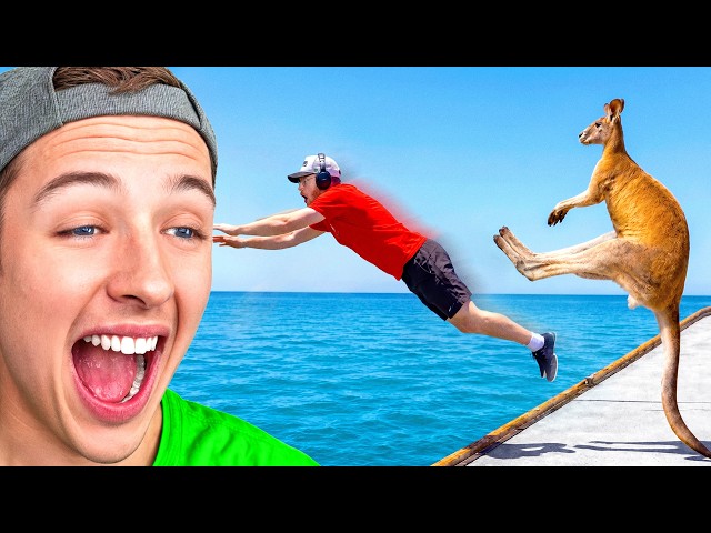 Try Not To Laugh (Animal Edition)