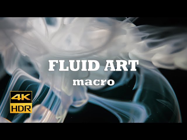 Underwater Macro Showreel #macro #showreel #macro #extrememacro