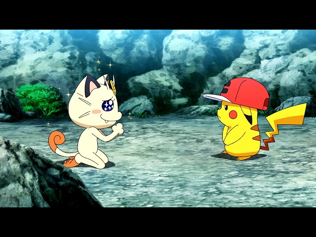Pikachu & Meowth Compilation