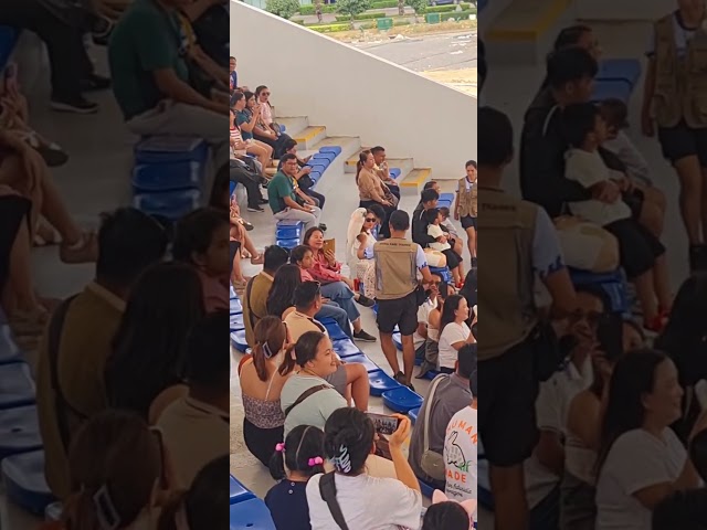 The Bird Show 