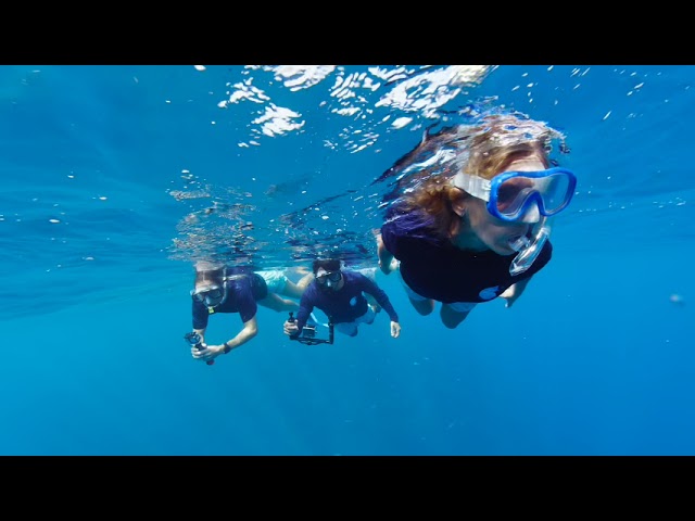 An Immersive Journey to Tetiaroa with Android XR & Google - Experience The Brando in 180°