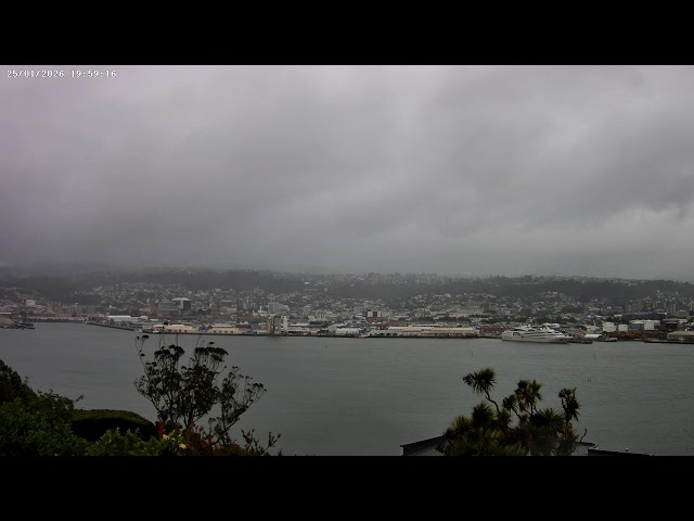Dunedin, NZ - Live Webcam (4K): 25-01-2026 15:00 to 02:59