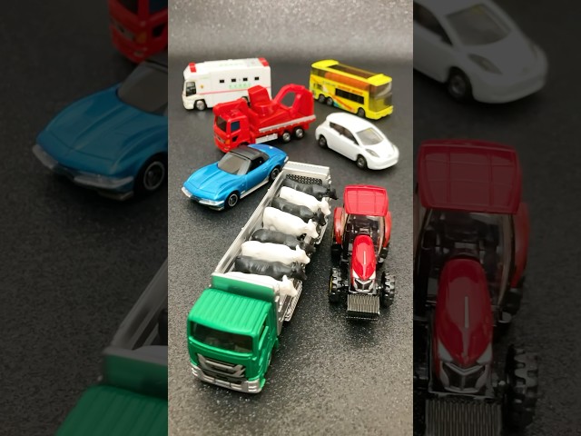 7 Tomica Toy Cars Change Into Hot Wheels!