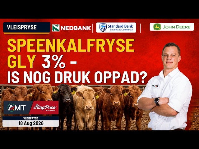 🐂📉 Speenkalfpryse gly 3% – is nóg druk op pad? | Vleispryse – 18 Aug 2026