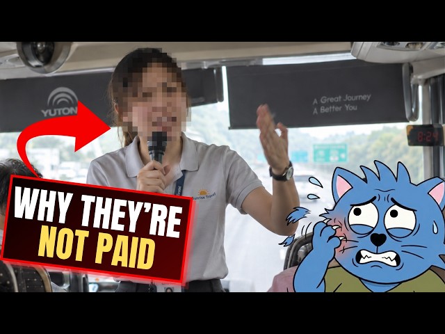 Why Singaporeans Keep Falling for Cheap China Tour Packages
