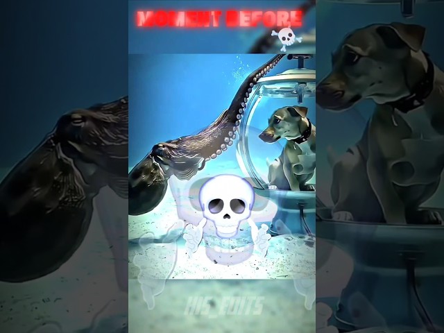 Trollface skull edit ☠️ | Kis edits |trending trollface shorts #trollface #trollfaceedit #troll