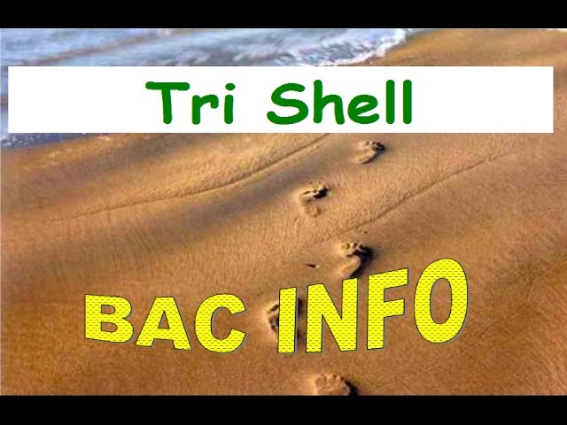 04_TRI SHELL