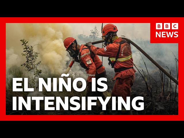 El Niño’s first impact is here - this is how we know | BBC News