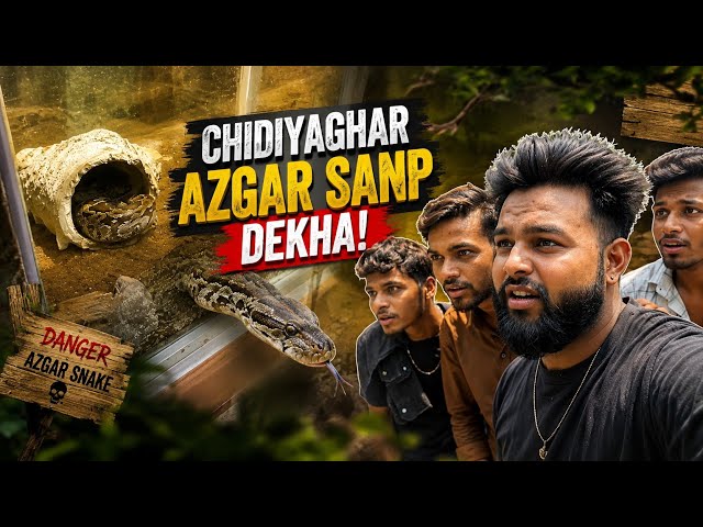 I Saw a Giant Python at the Zoo! 😱🐍 | Real Snake Encounter