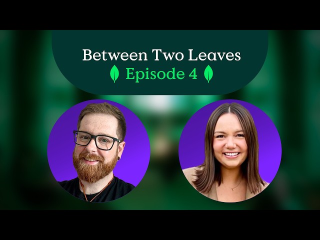 7 Massive MongoDB Updates: Hybrid Search, Vector Search, and More! | Between Two Leaves