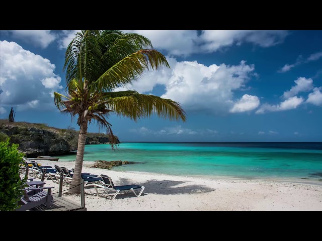10 Hours of Ocean Waves & Seagulls Relaxation Sounds  Healing Sounds for Deep Sleep & Relaxation
