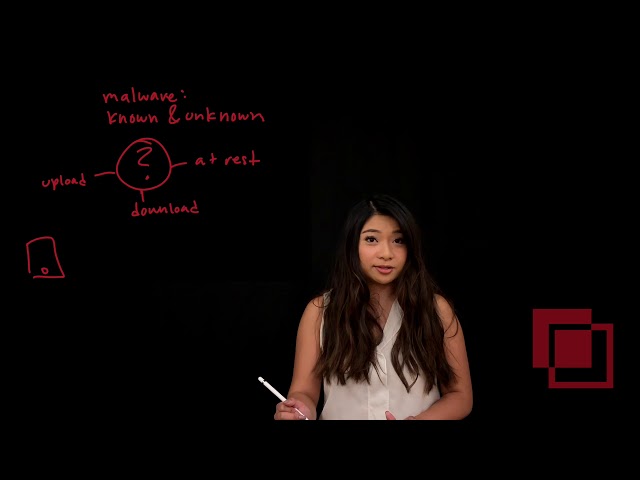 Where to Detect Malware