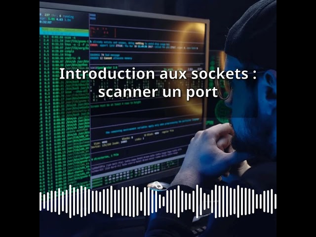 Introduction aux sockets : scanner un port | Expert CyberSecurité & DevSecOps : Développer,...