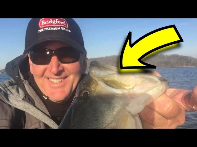 The Big Fish Lure Color 90% Of Anglers Don’t Use…