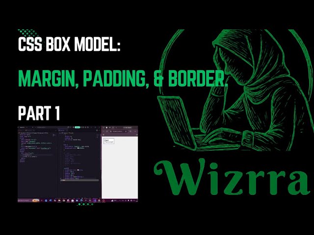 CSS Box Model: Margin, Padding, & Border. Part 1