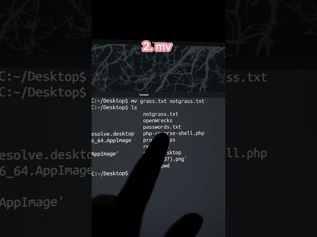 🐧 Learn Linux in 30 Days. Day 3!#Linux #LearnLinux #CyberSecurity #EthicalHacking #HackTools