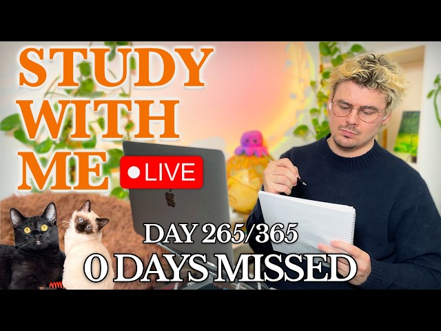 Study With Me (&🐱) LIVE 🚀 4-HOURS — Deep Focus (50/10 Pomodoro)