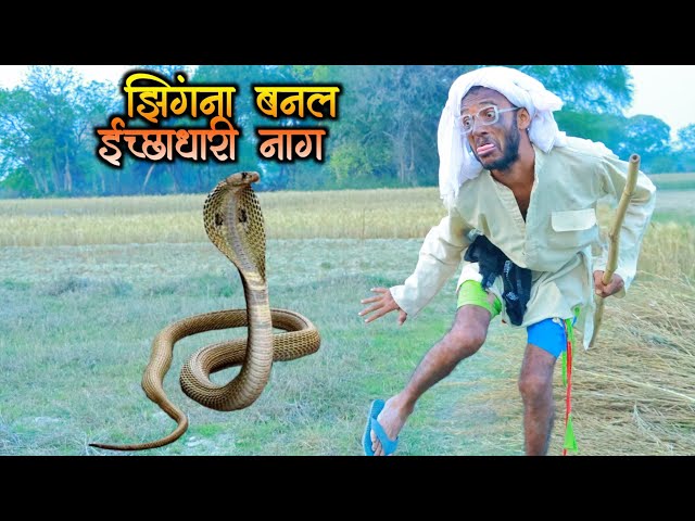 #झिंगना इच्छाधारी नाग बनकर चिरकुटवा को डेरवाया ! चिरकुटवा हुआ बेहोश #newcomedyChirkutBaba2023