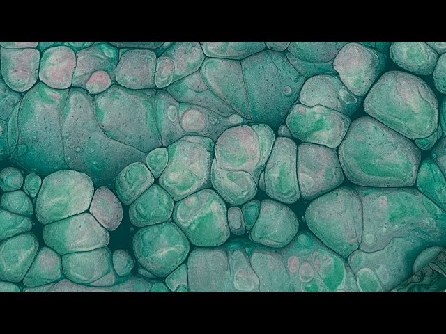 (430) OPAL ROSE Straight Pour - Boulder Cells - Round Canvas -  Fluid Acrylic Paint Pouring