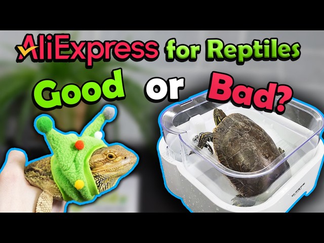 We Review Reptile Products from AliExpress!