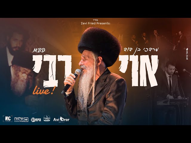 Oy Rebbe - Live! • Mordechai Ben David | אוי רבי • מרדכי בן דוד