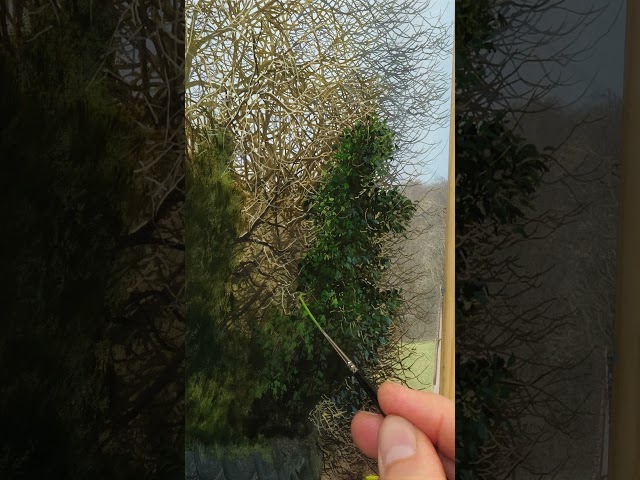 Painting Delicate Trees #art #painting #satisfying
