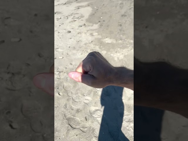 Beach Walk Blog 4 - Why The Sling Method is different from everything you may have done before.